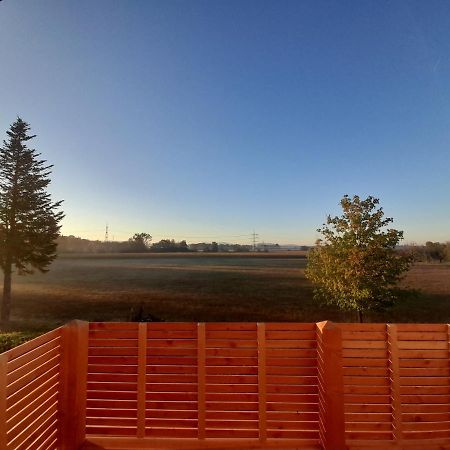Badischer Neubau-Ruhe-Kunst-Natur Rheinau Dış mekan fotoğraf