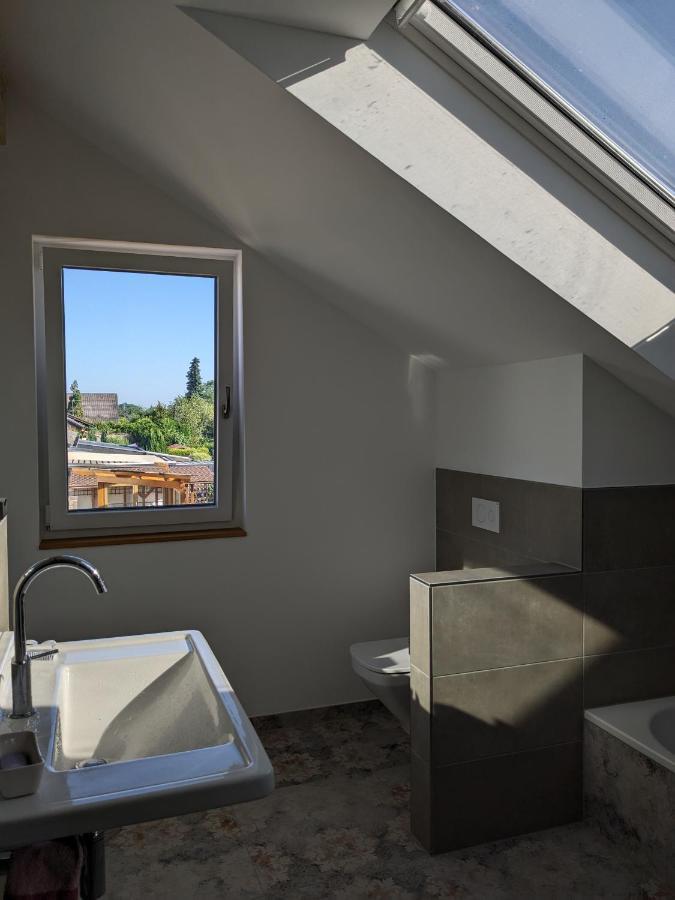 Badischer Neubau-Ruhe-Kunst-Natur Rheinau Dış mekan fotoğraf