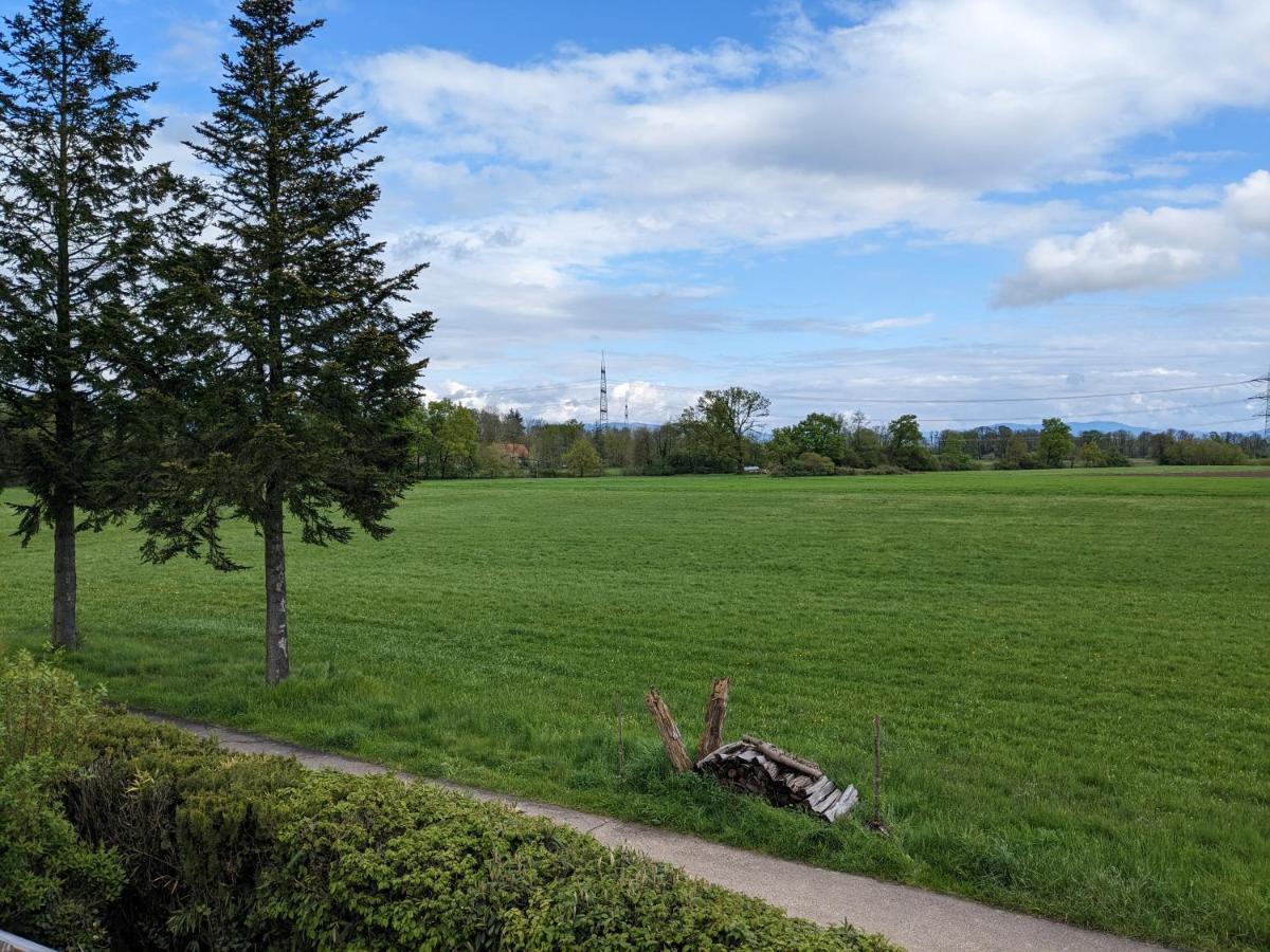 Badischer Neubau-Ruhe-Kunst-Natur Rheinau Dış mekan fotoğraf