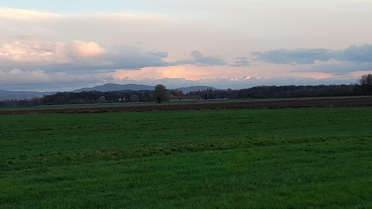 Badischer Neubau-Ruhe-Kunst-Natur Rheinau Dış mekan fotoğraf