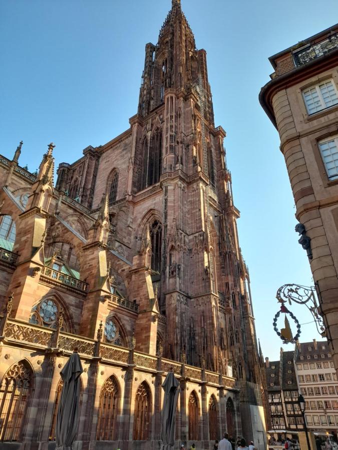 Badischer Neubau-Ruhe-Kunst-Natur Rheinau Dış mekan fotoğraf