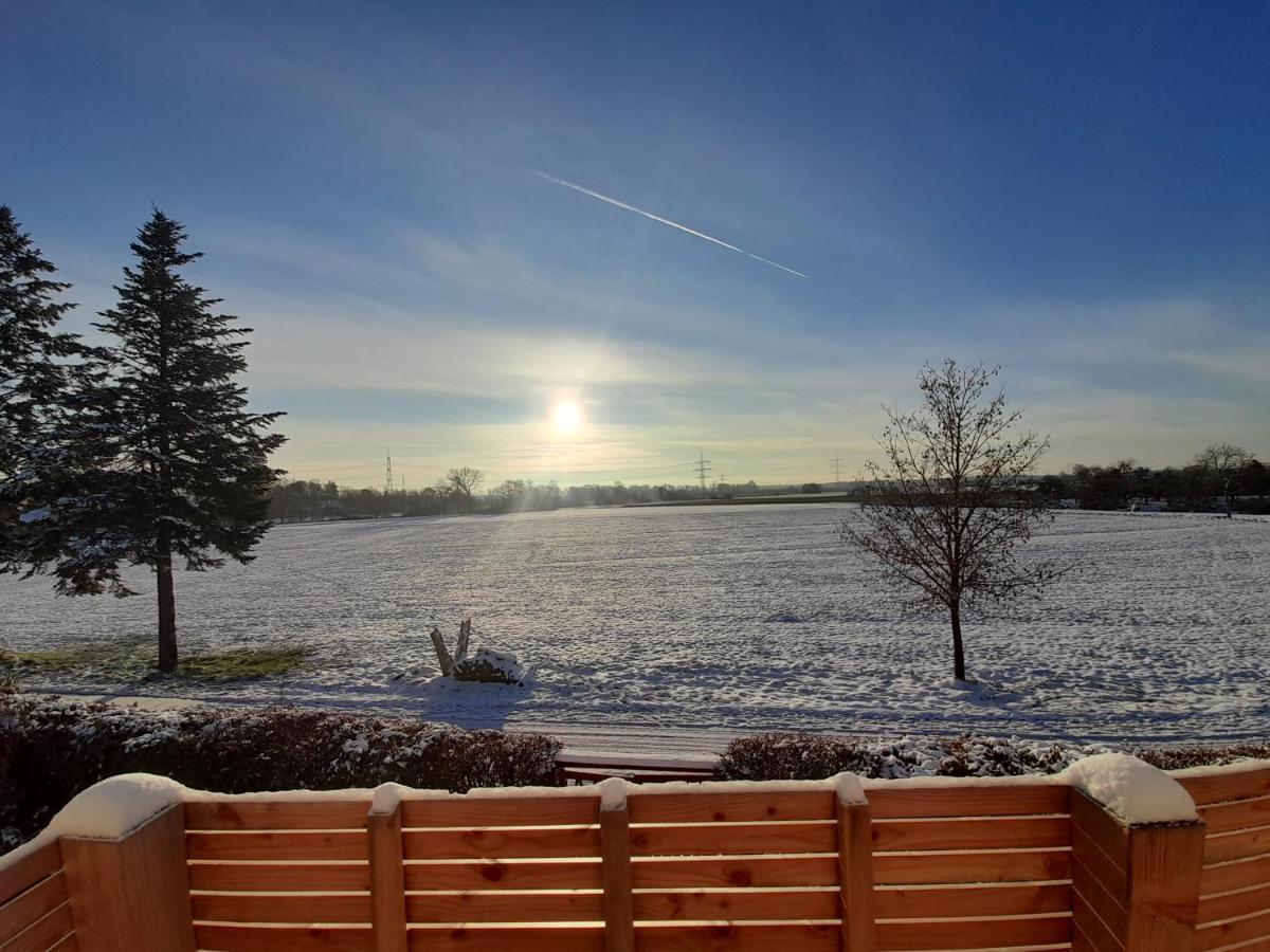 Badischer Neubau-Ruhe-Kunst-Natur Rheinau Dış mekan fotoğraf
