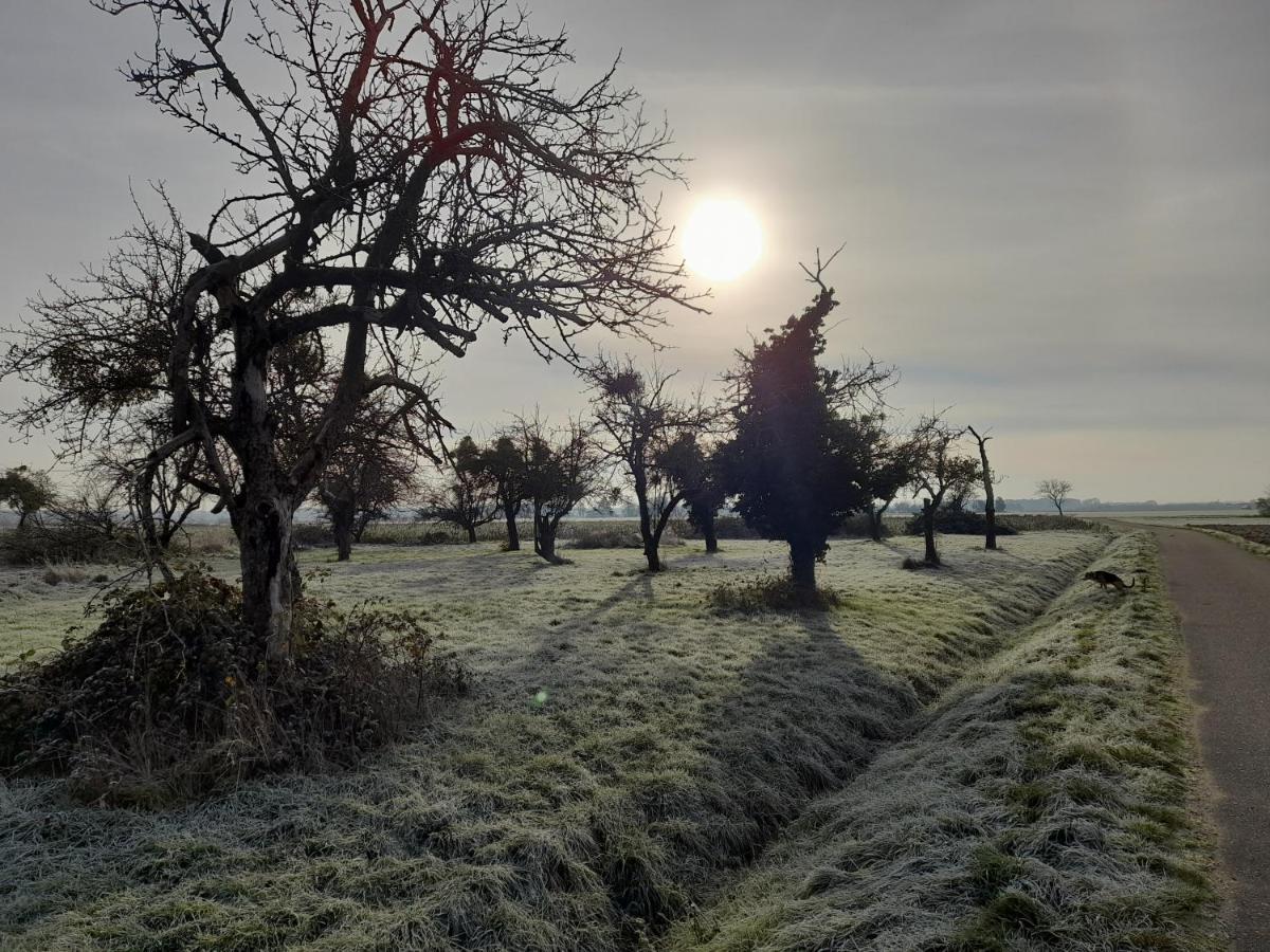 Badischer Neubau-Ruhe-Kunst-Natur Rheinau Dış mekan fotoğraf
