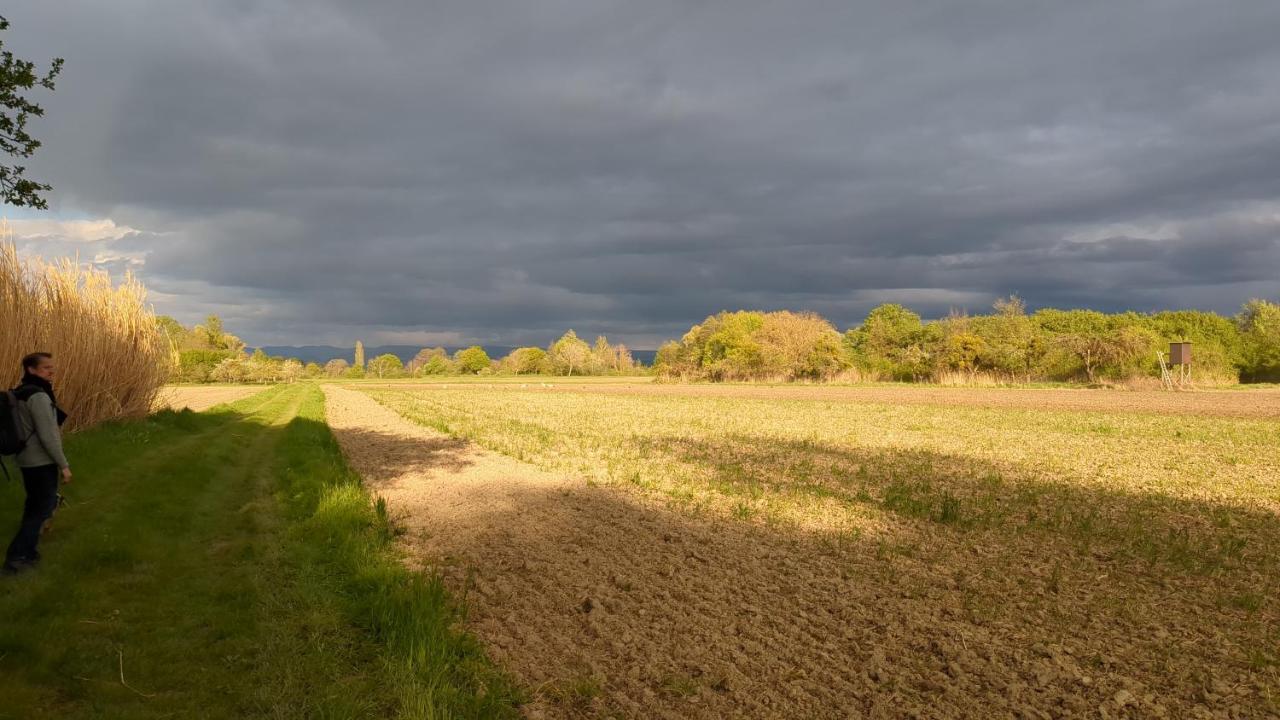 Badischer Neubau-Ruhe-Kunst-Natur Rheinau Dış mekan fotoğraf