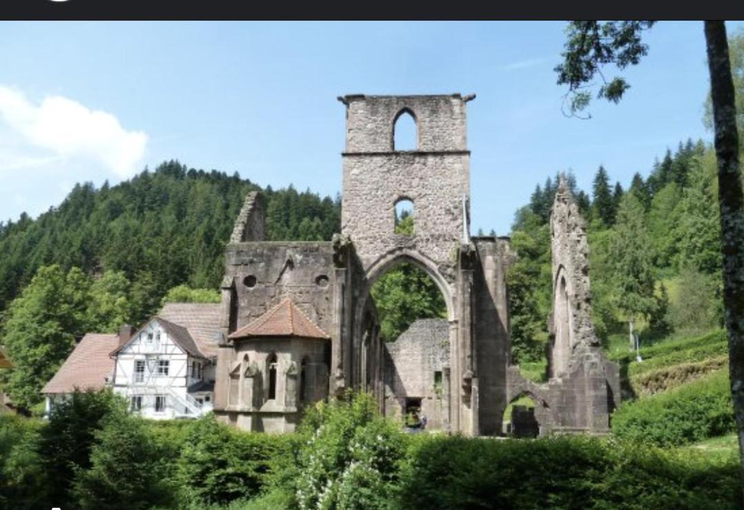 Badischer Neubau-Ruhe-Kunst-Natur Rheinau Dış mekan fotoğraf