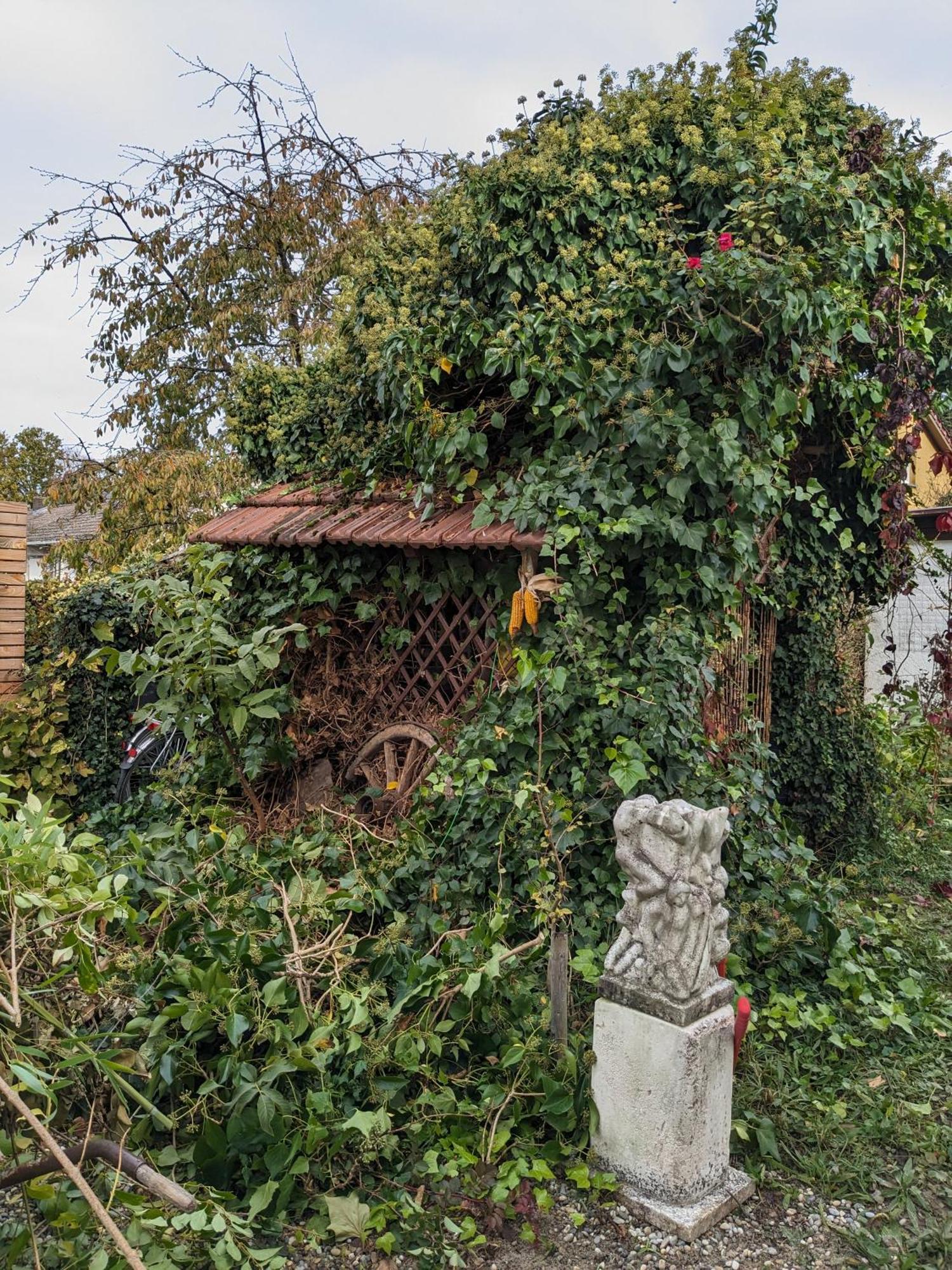 Badischer Neubau-Ruhe-Kunst-Natur Rheinau Dış mekan fotoğraf