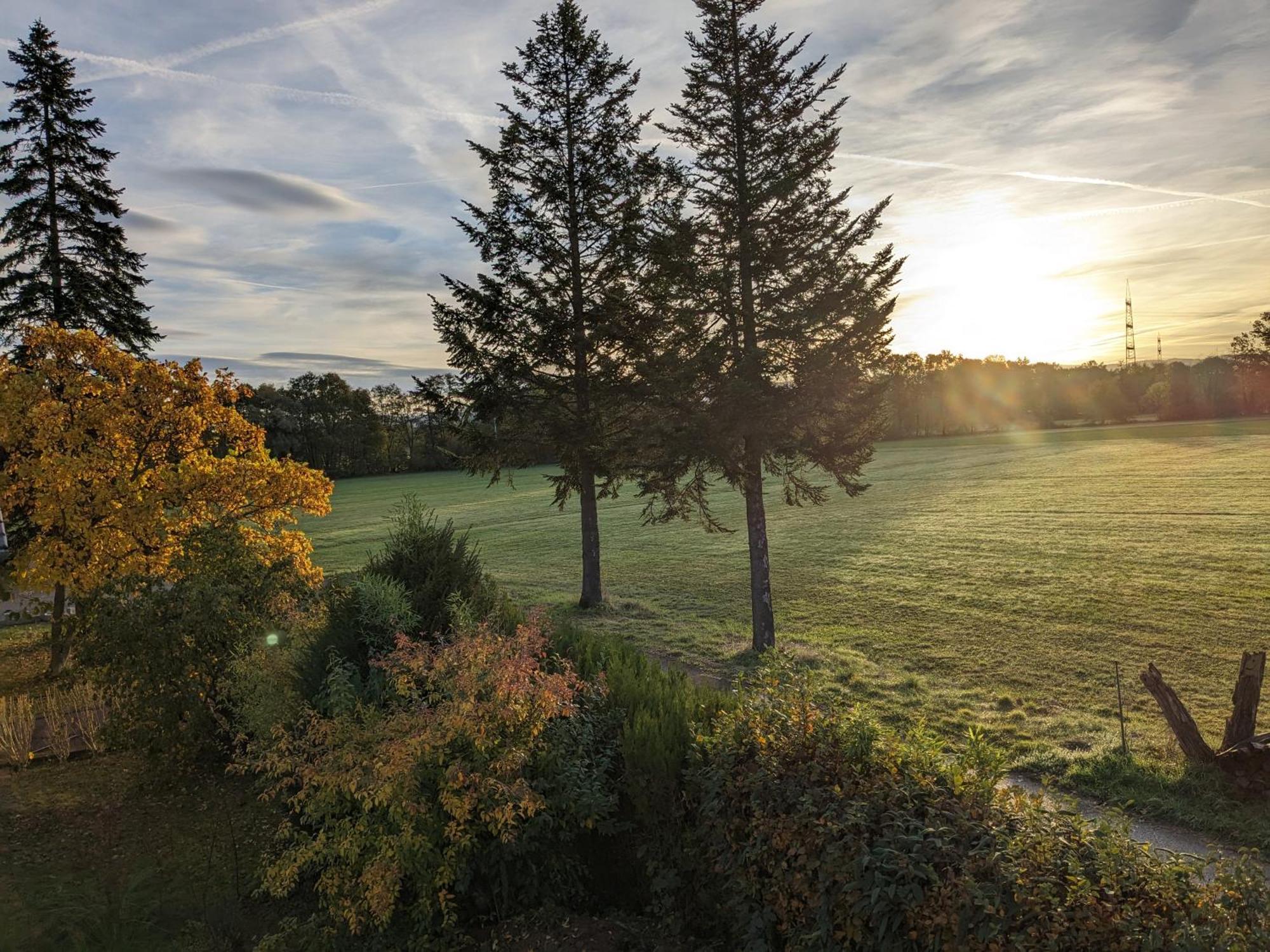 Badischer Neubau-Ruhe-Kunst-Natur Rheinau Dış mekan fotoğraf
