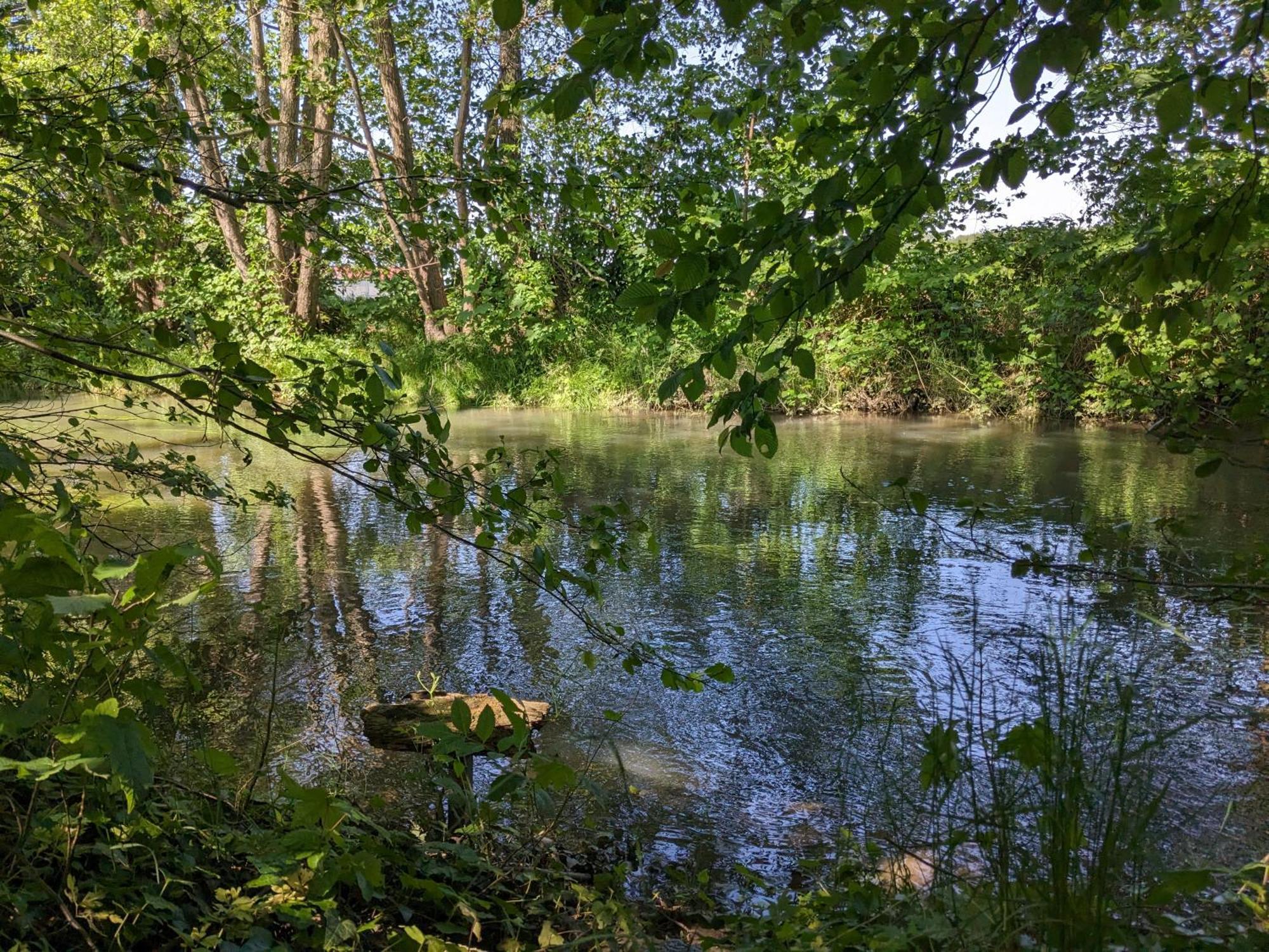 Badischer Neubau-Ruhe-Kunst-Natur Rheinau Dış mekan fotoğraf