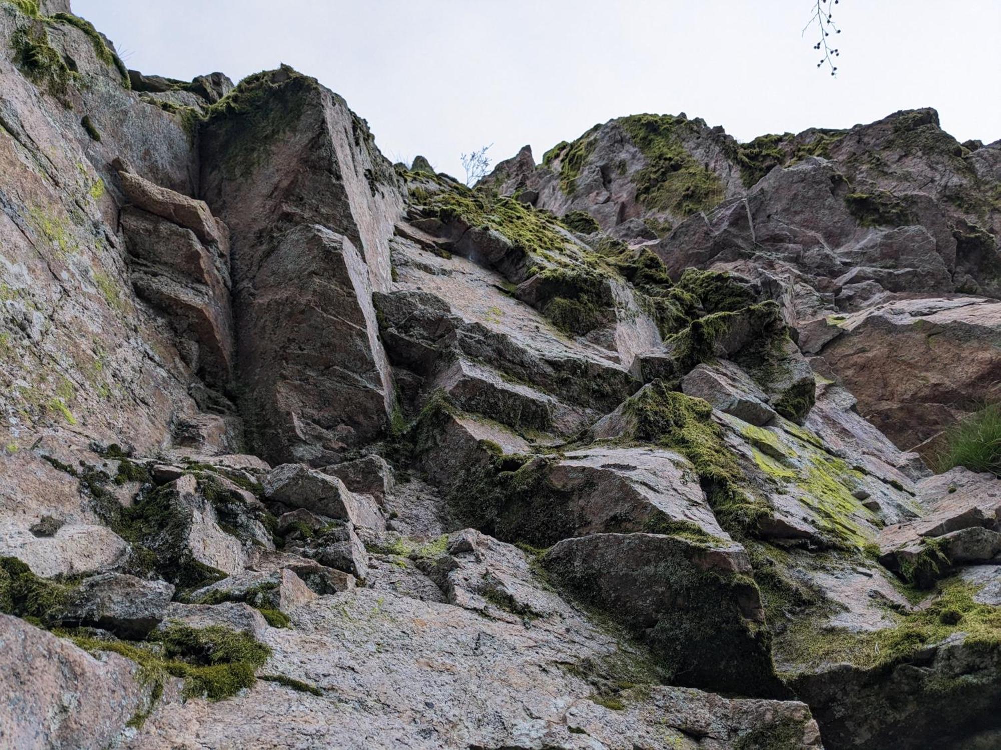 Badischer Neubau-Ruhe-Kunst-Natur Rheinau Dış mekan fotoğraf