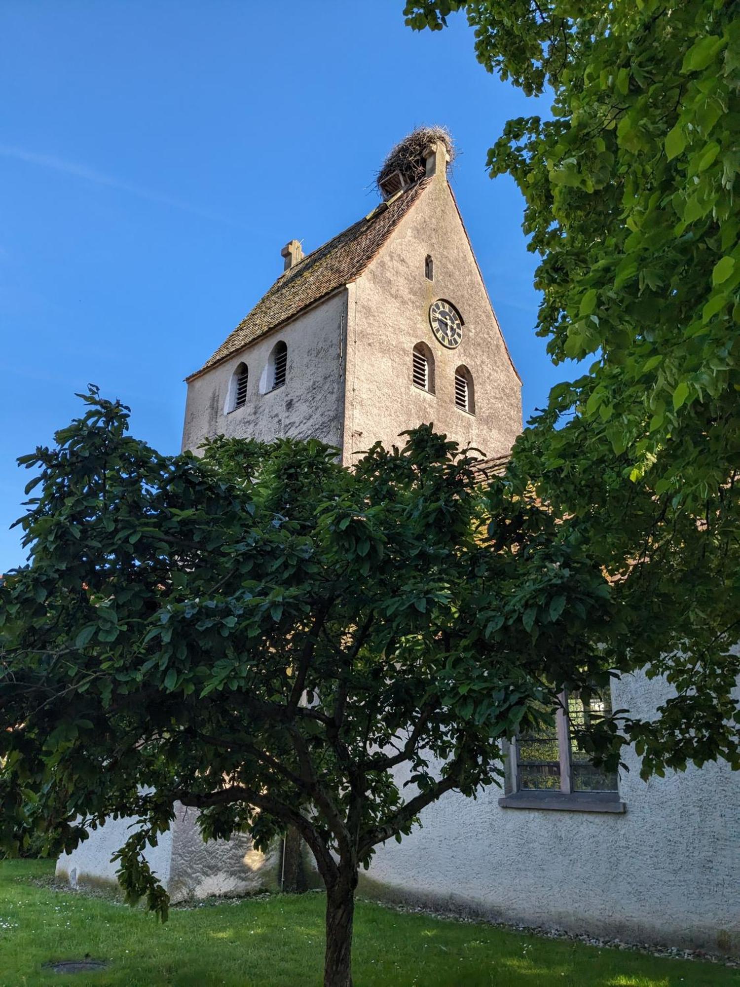 Badischer Neubau-Ruhe-Kunst-Natur Rheinau Dış mekan fotoğraf