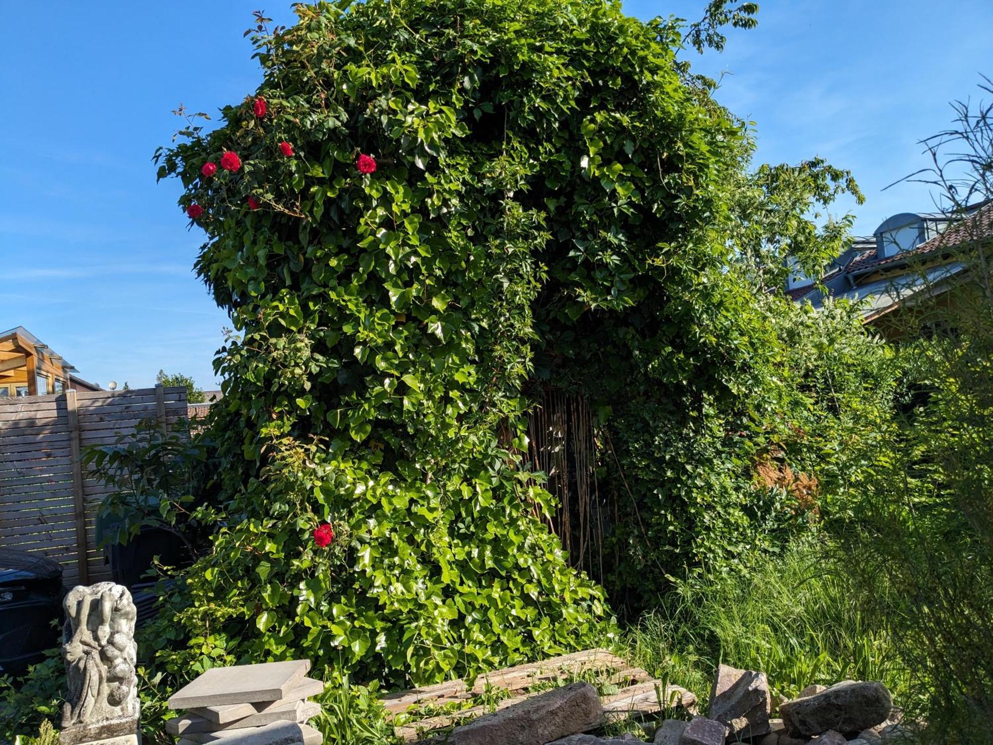 Badischer Neubau-Ruhe-Kunst-Natur Rheinau Dış mekan fotoğraf