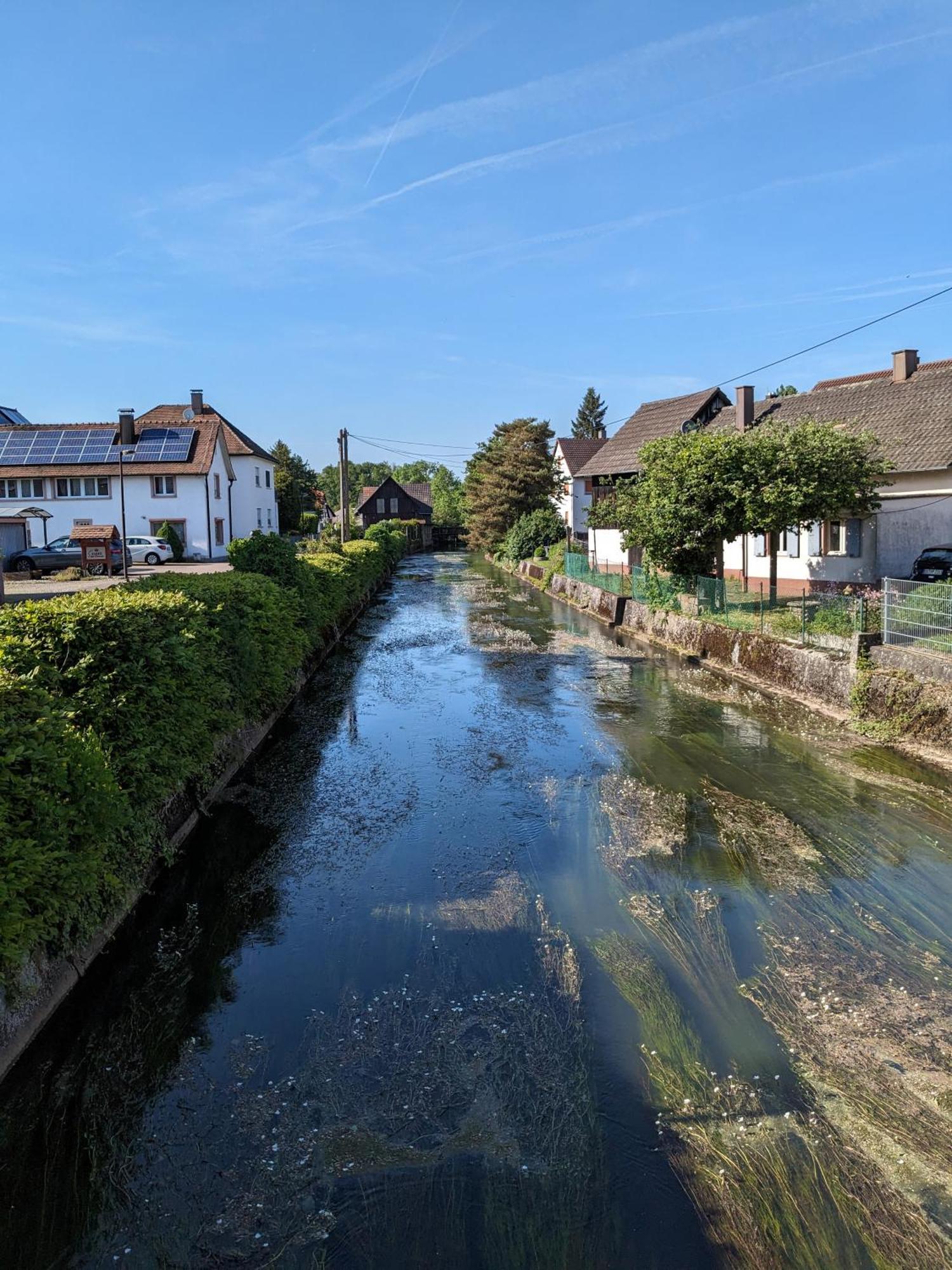 Badischer Neubau-Ruhe-Kunst-Natur Rheinau Dış mekan fotoğraf