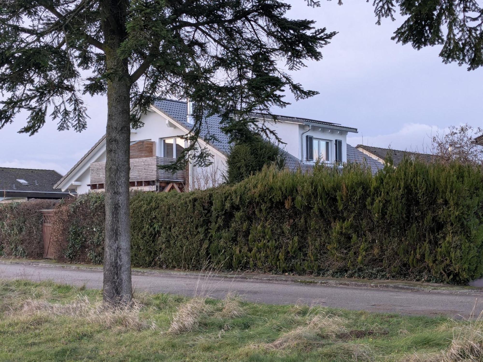 Badischer Neubau-Ruhe-Kunst-Natur Rheinau Dış mekan fotoğraf